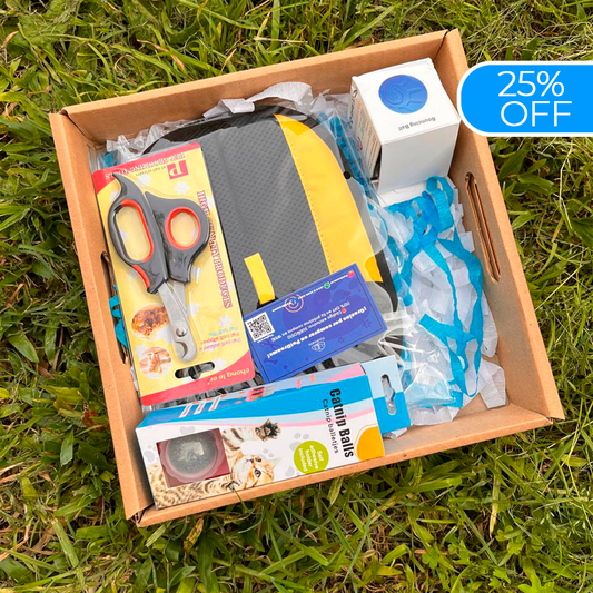 DreamBox-juguetes, accesorios y amor en una sola caja