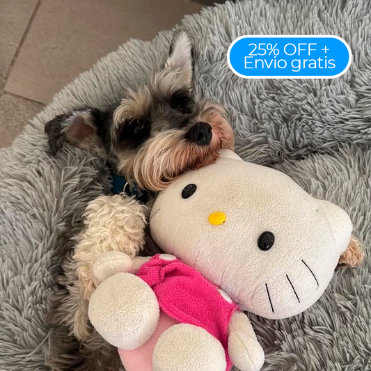 DreamBed– El refugio más cómodo para tu mascota.