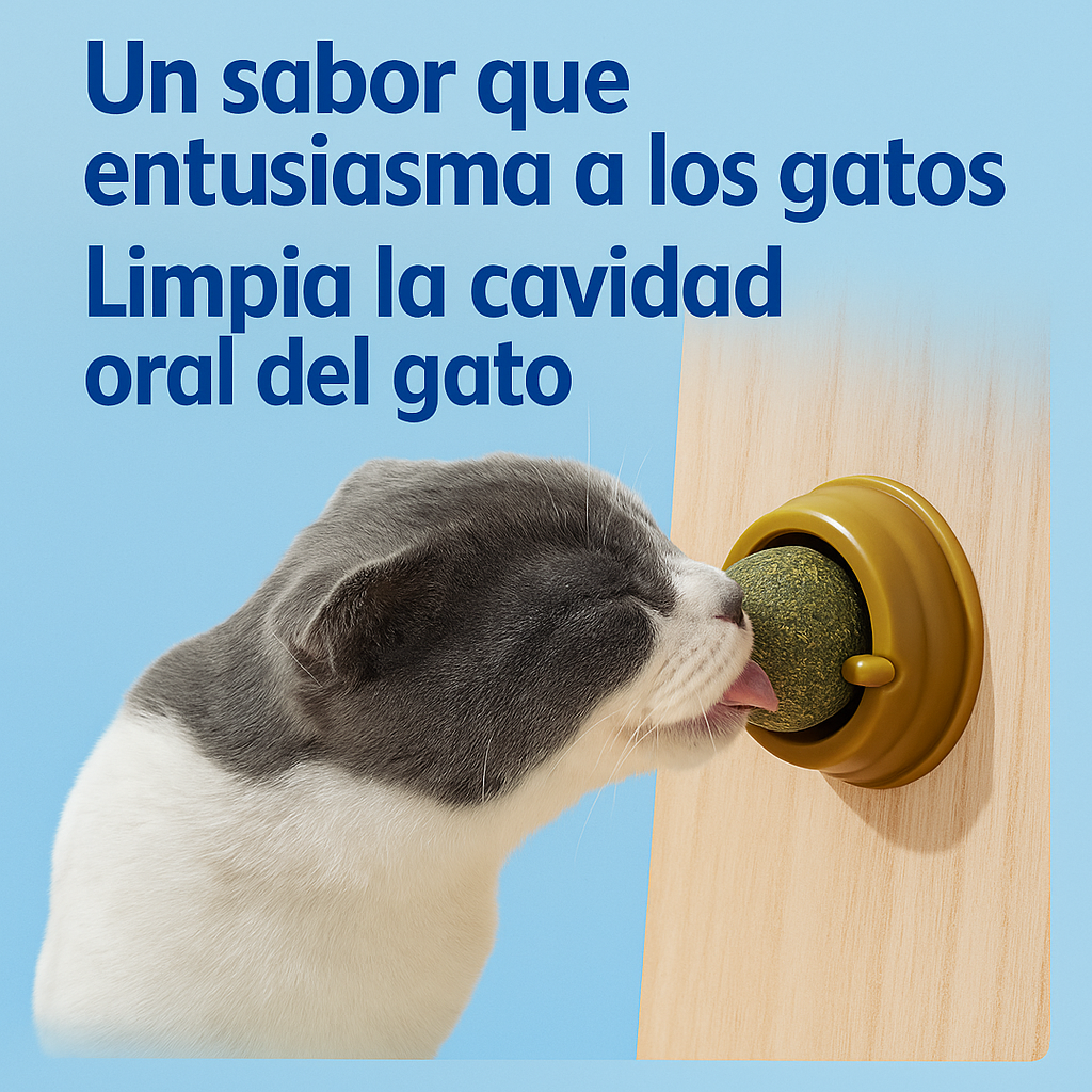 DreamBox-juguetes, accesorios y amor en una sola caja