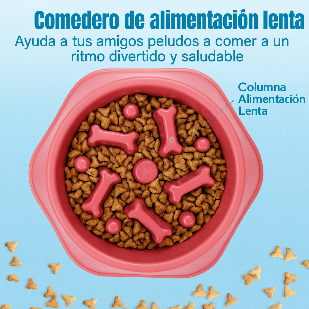 DreamBox-la experiencia más divertida para tu mascota