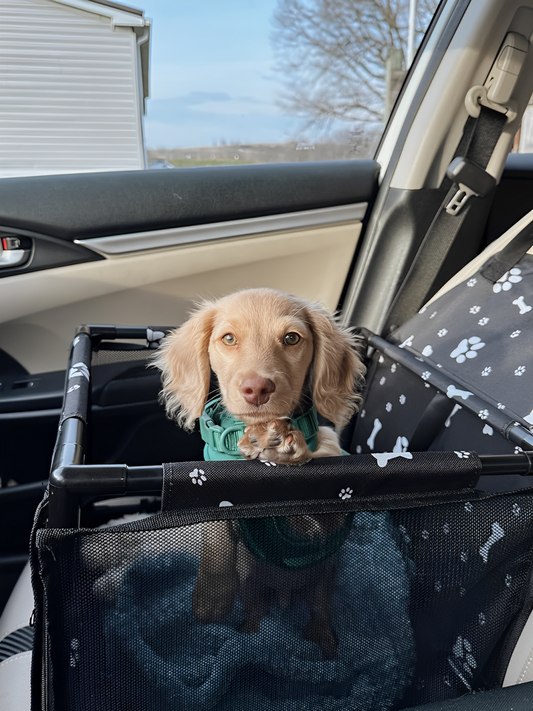Asiento de coche antisuciedad y comodidad para mascotas