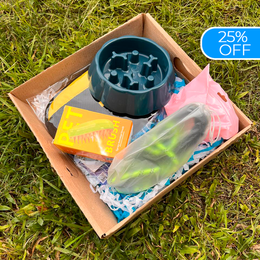 DreamBox-la experiencia más divertida para tu mascota