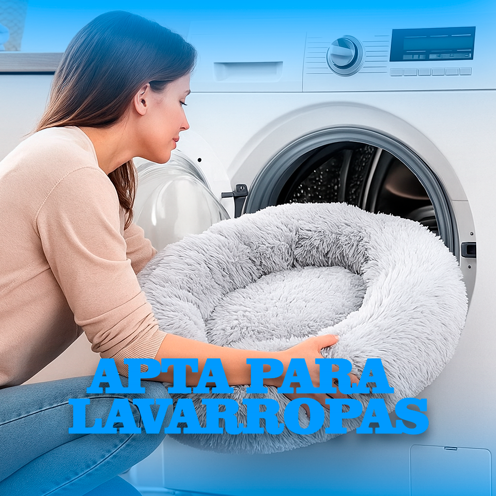 DreamBed– El refugio más cómodo para tu mascota.