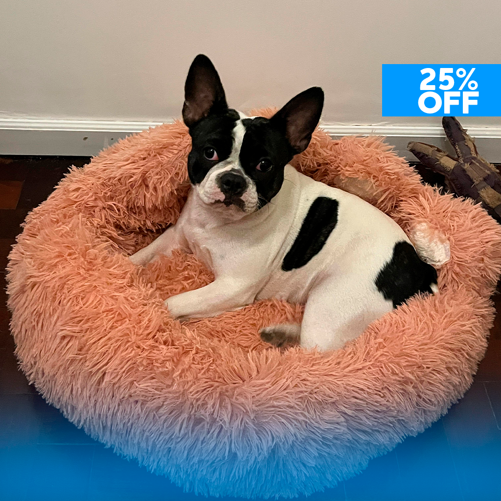 Cama para Mascotas "Pata oso"