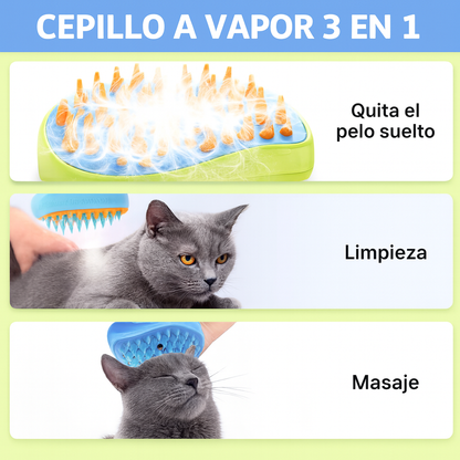 DreamBox-juguetes, accesorios y amor en una sola caja