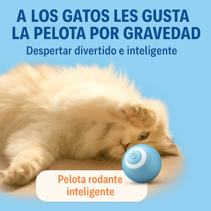 DreamBox-juguetes, accesorios y amor en una sola caja