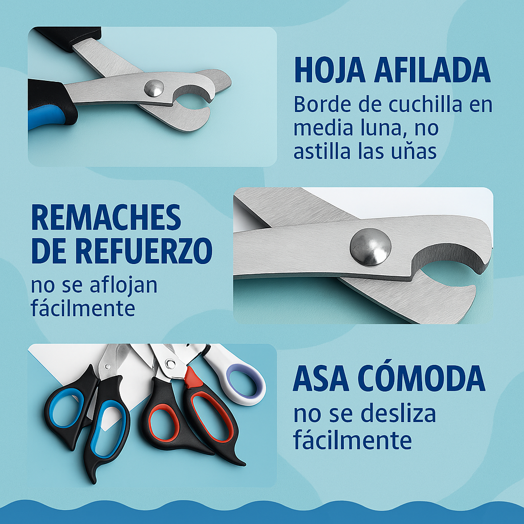 DreamBox-juguetes, accesorios y amor en una sola caja