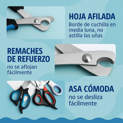 DreamBox-juguetes, accesorios y amor en una sola caja