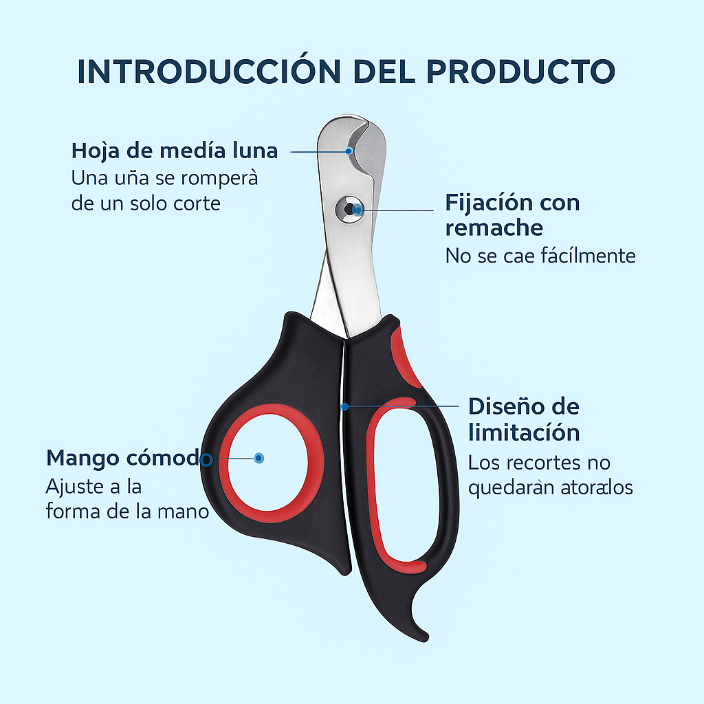 DreamBox-juguetes, accesorios y amor en una sola caja