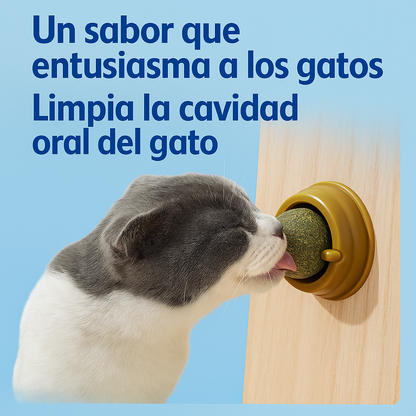 DreamBox-juguetes, accesorios y amor en una sola caja