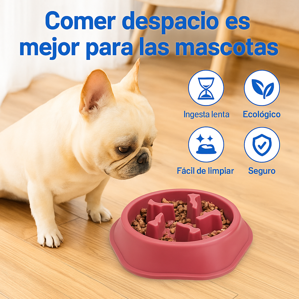 DreamBox-la experiencia más divertida para tu mascota