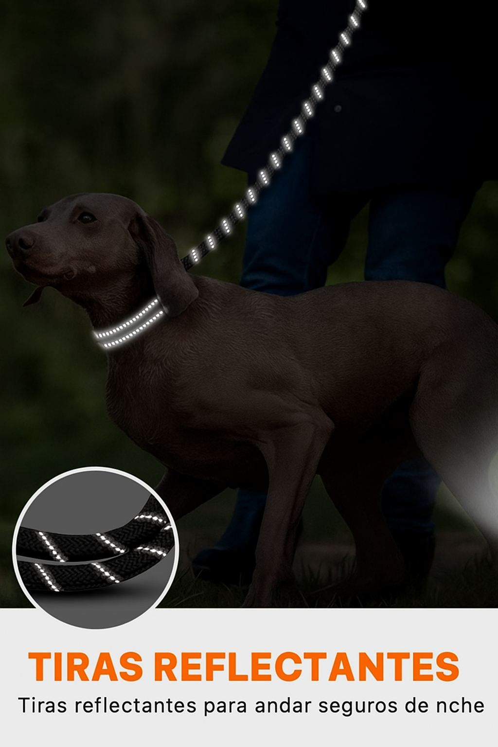 Correa Reflectiva de Alta Resistencia para Perros