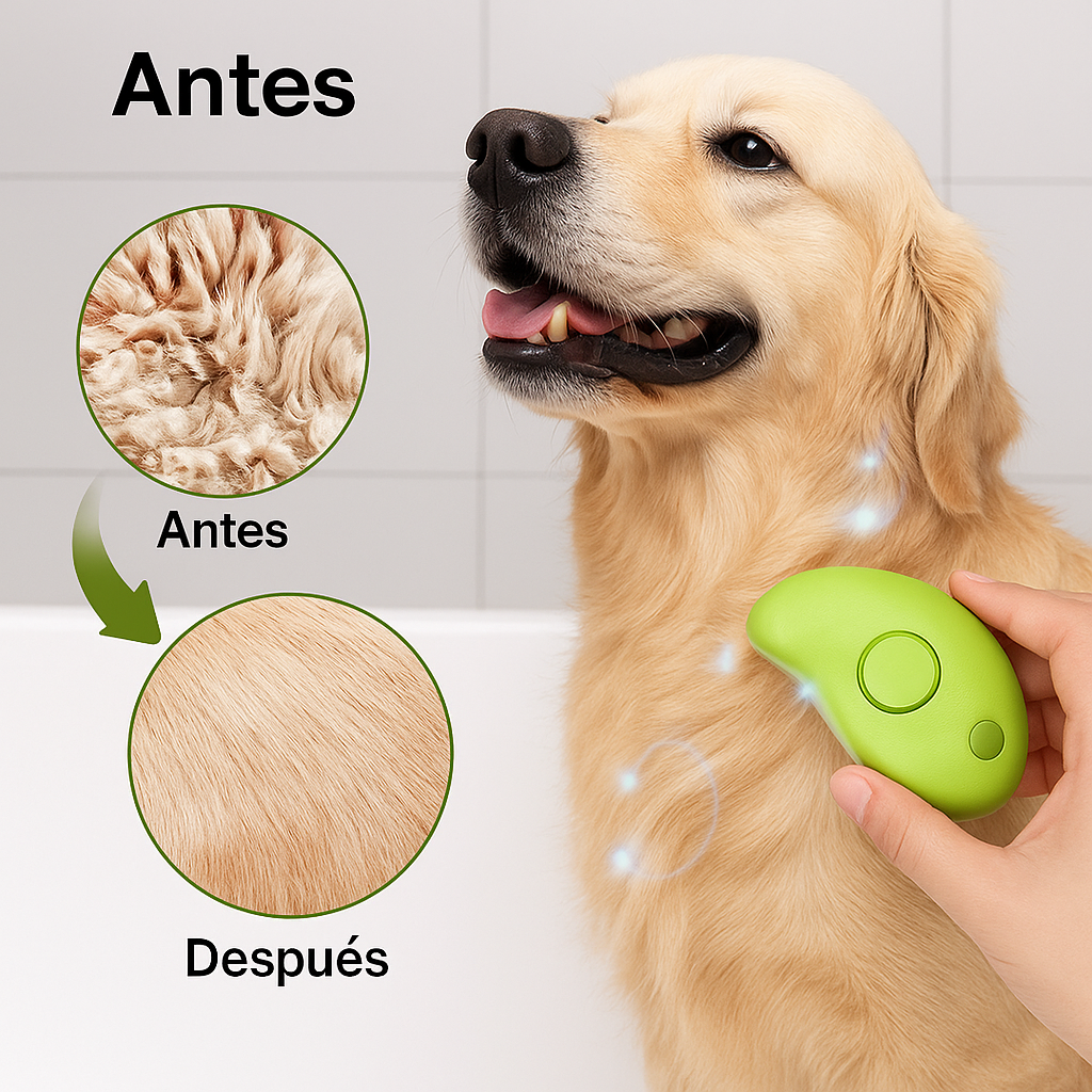 DreamBox-la experiencia más divertida para tu mascota