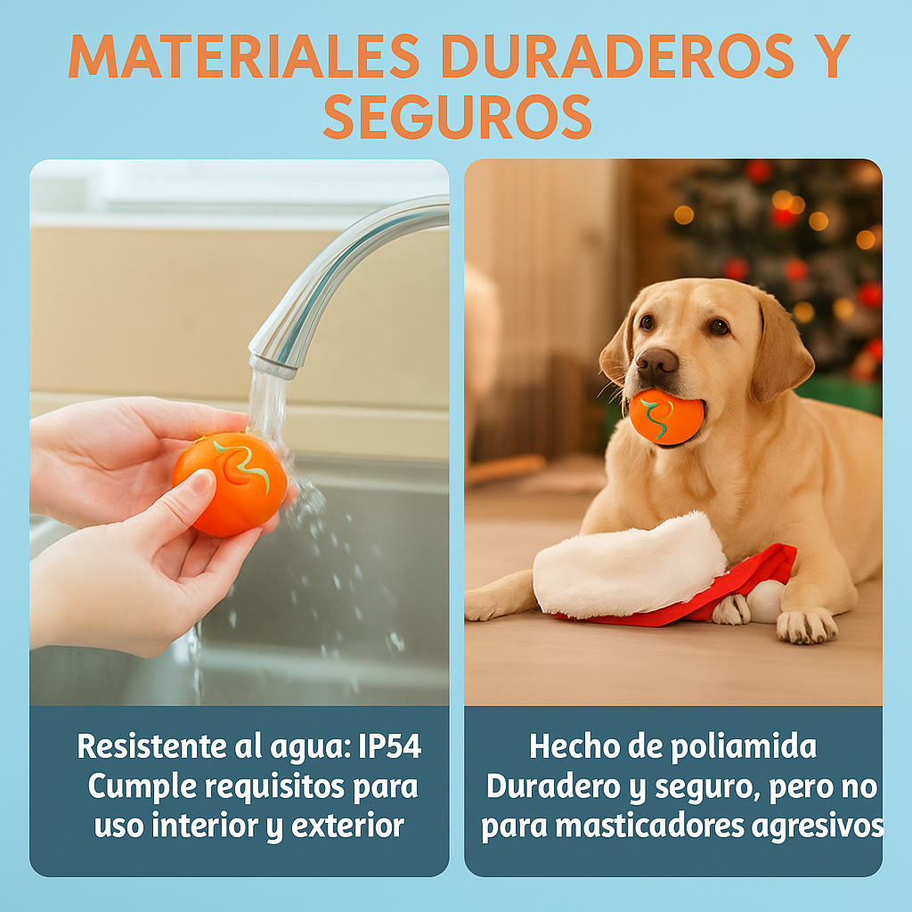 DreamBox-la experiencia más divertida para tu mascota