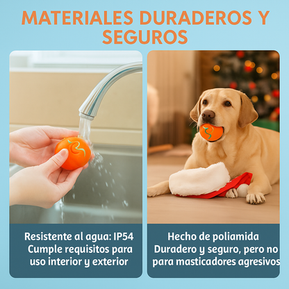 DreamBox-la experiencia más divertida para tu mascota