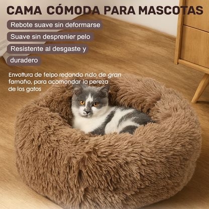 DreamBed– El refugio más cómodo para tu mascota.