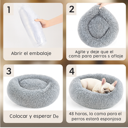 DreamBed– El refugio más cómodo para tu mascota.