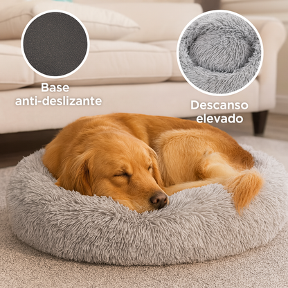 DreamBed– El refugio más cómodo para tu mascota.