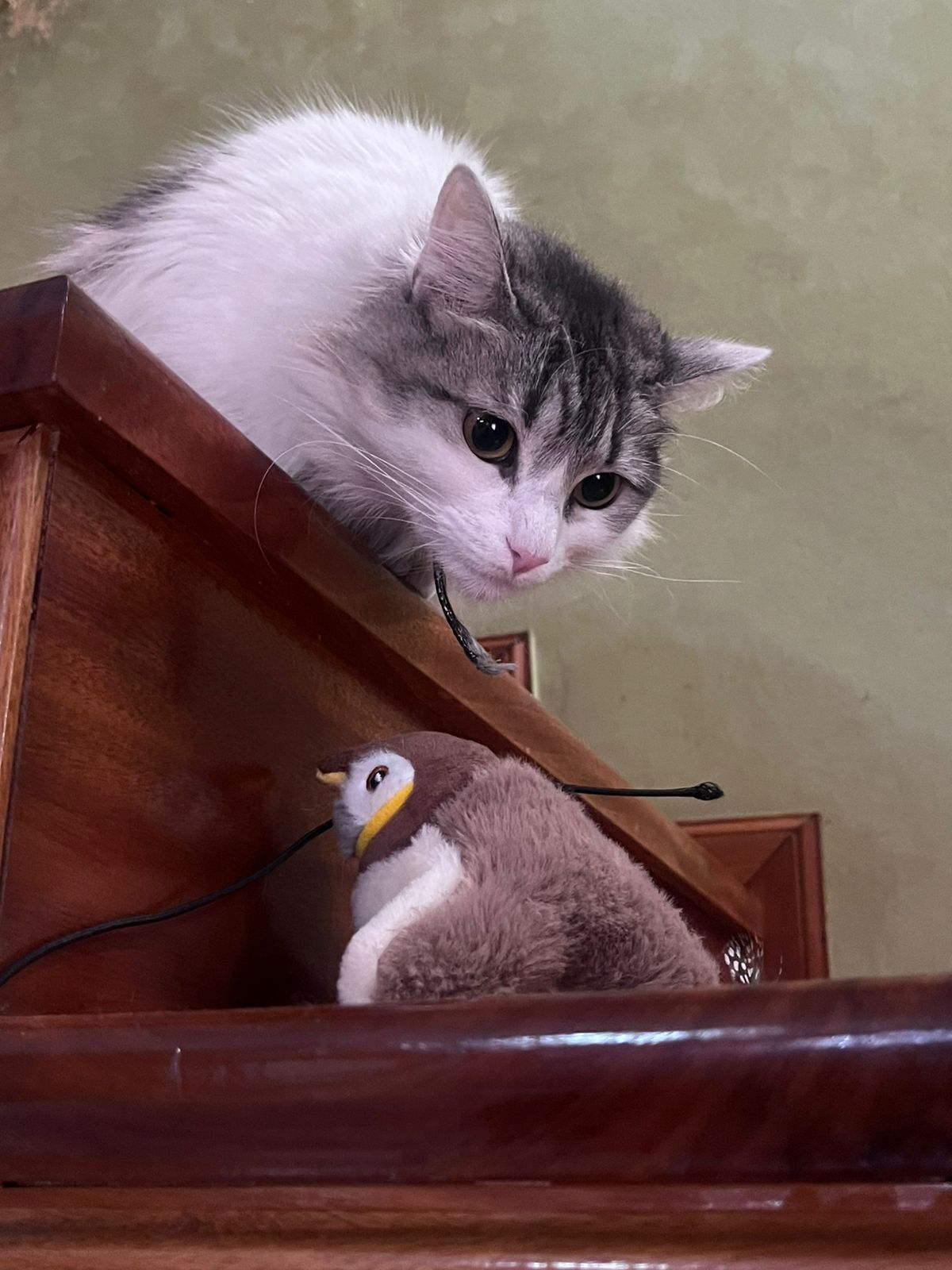 Pájaro Interactivo para Gatos – Sonido, Movimiento y Catnip