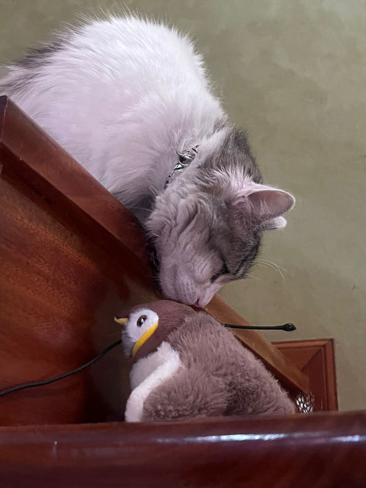 Pájaro Interactivo para Gatos – Sonido, Movimiento y Catnip