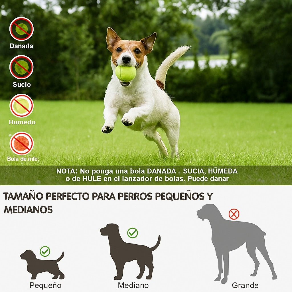 Lanza Pelotas Automatico Petdreams