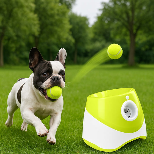 Lanza Pelotas Automatico Petdreams