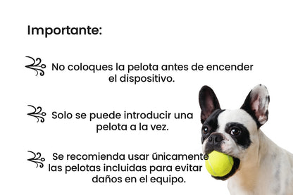 Lanza Pelotas Automatico Petdreams