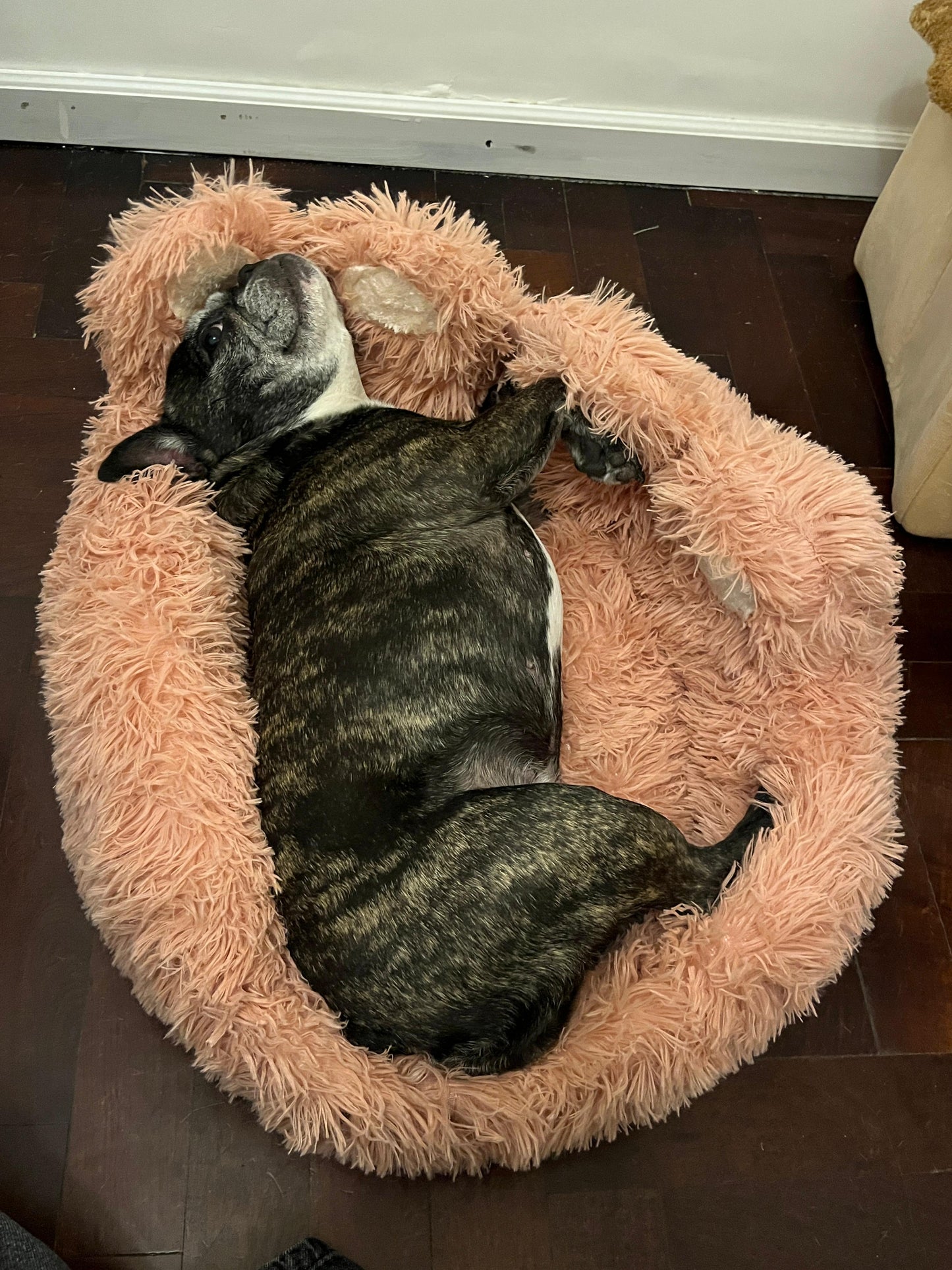 Cama para Mascotas "Pata oso"