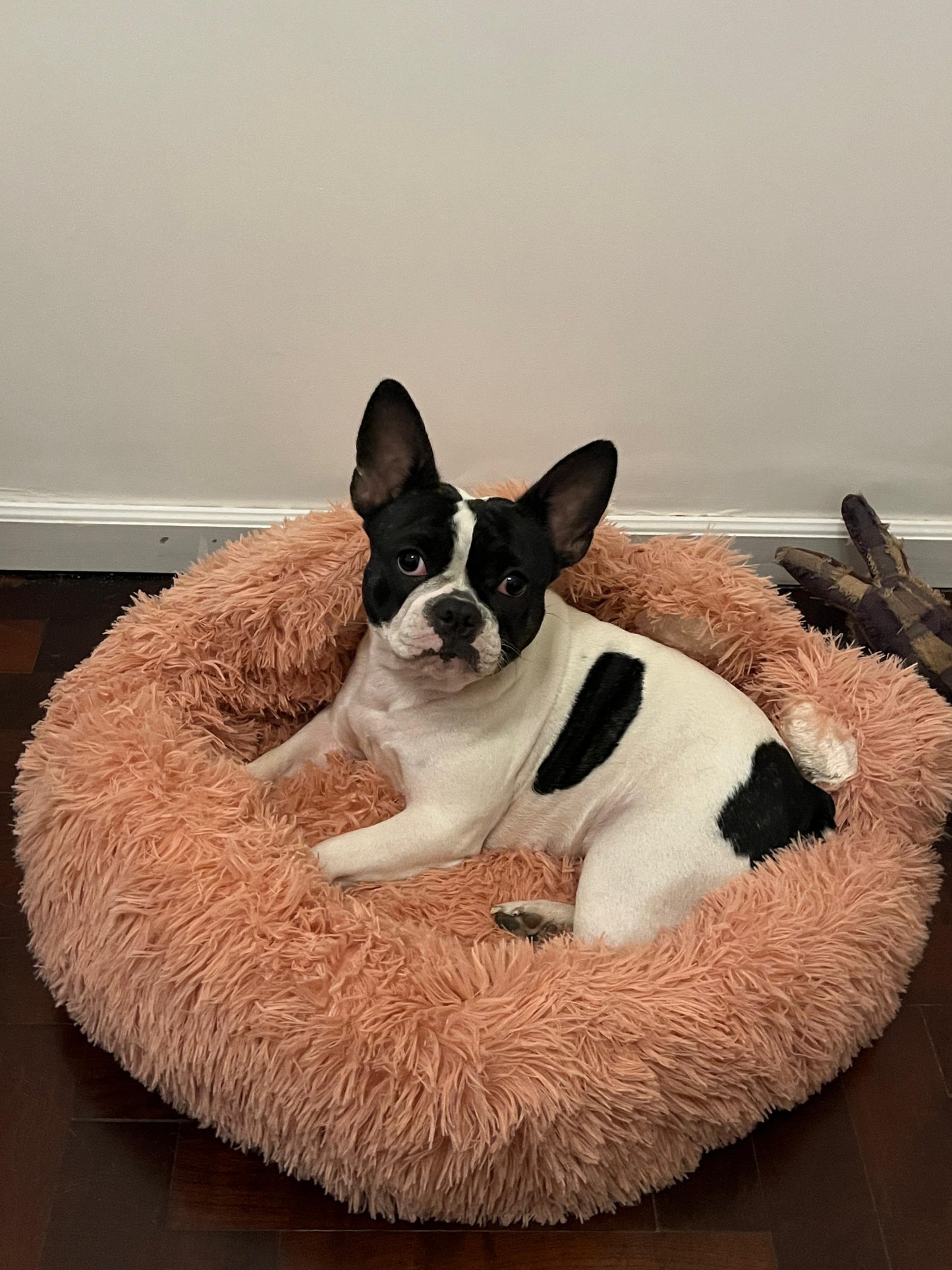 Cama para Mascotas "Pata oso"