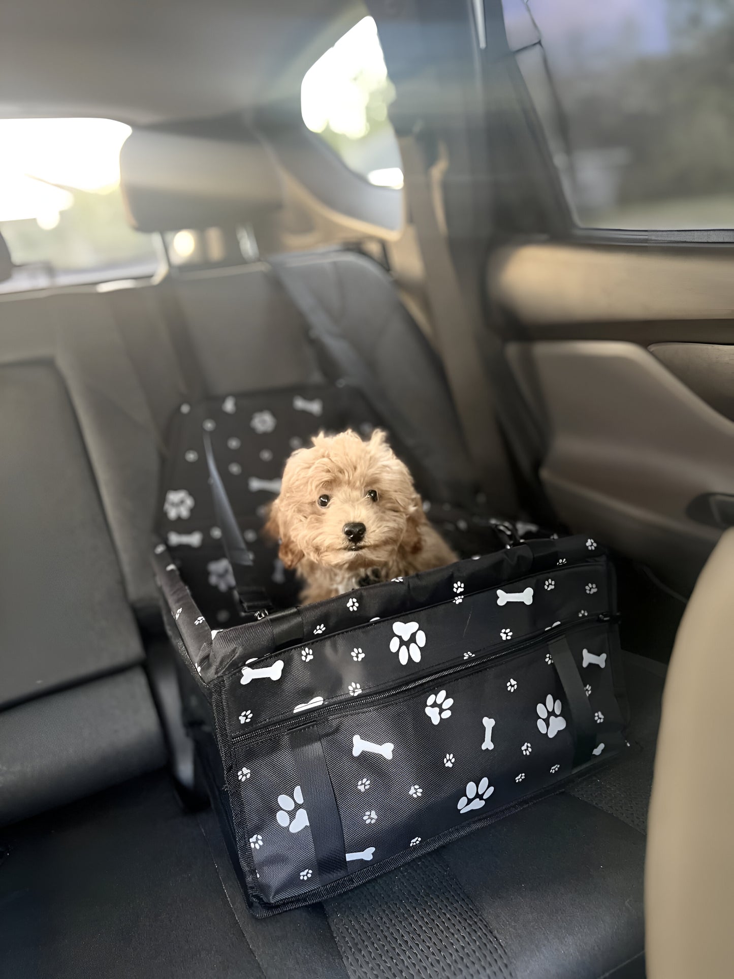 Asiento de coche antisuciedad y comodidad para mascotas