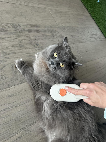 Cepillo saca pelos a vapor