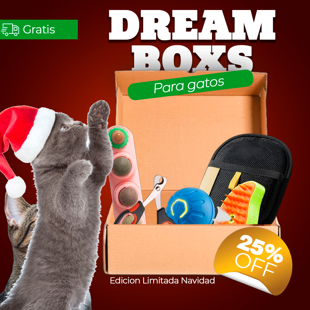 DreamBox-juguetes, accesorios y amor en una sola caja