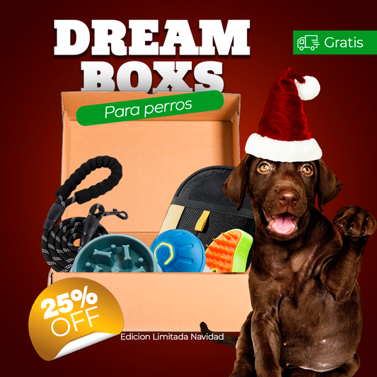 DreamBox-la experiencia más divertida para tu mascota