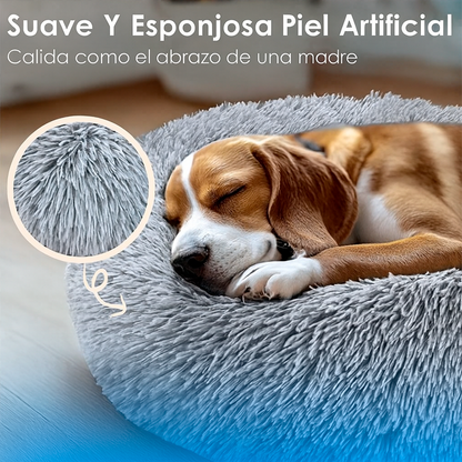DreamBed– El refugio más cómodo para tu mascota.