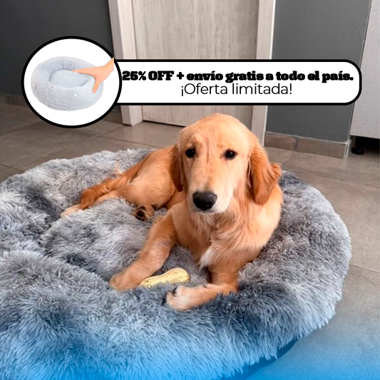 DreamBed– El refugio más cómodo para tu mascota.