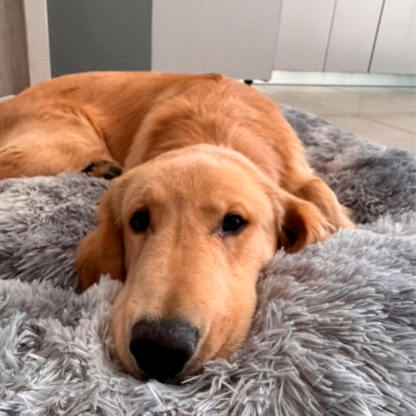 DreamBed– El refugio más cómodo para tu mascota.